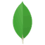 Technology 2